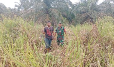 Babinsa Kodim 0301/Pbr Sosialisasikan Dampak Karlahut Pada Warga Binaan