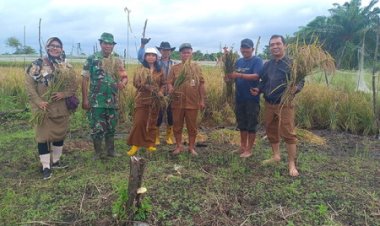 Babinsa Kodim 0301/Pbr Dukung Ketahanan Pangan di Meranti Pandak