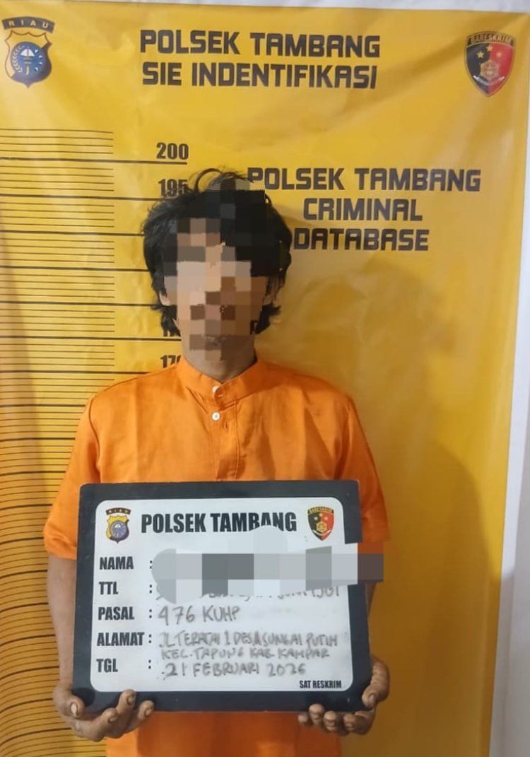 Polsek Tambang Tangkap Pelaku Pencurian Berondolan Sawit, Tiga Orang DPO