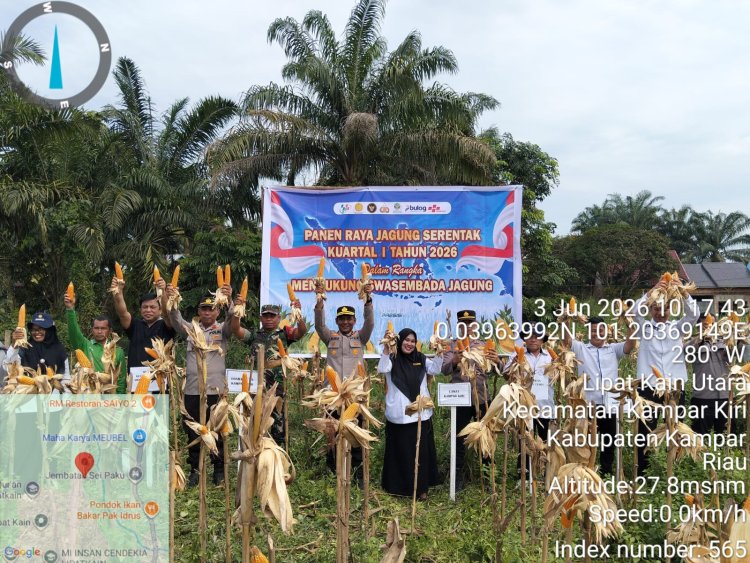 Polsek Kampar Kiri Sukses Laksanakan Panen Raya, Komitmen Kuat Jaga Ketahanan Pangan